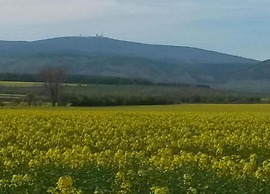Holiday Home in Blankenburg With E-station