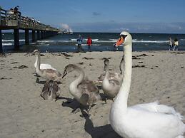 Escape Near Baltic Coast