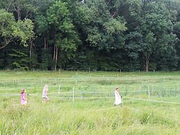 Schoenes Ferienhaus in der Naehe der Ostsee