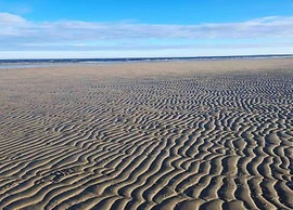 Bungalow in Insel Poel With Garden