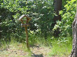 Detached Holiday Home With Sauna, Large Garden