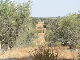 Holiday Home With Private Swimming Pool