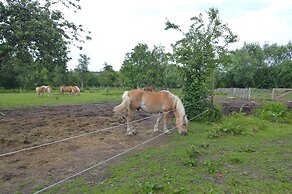 Comfortable Villa, Paliseul