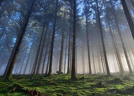 Cottage in Paliseul With Garden