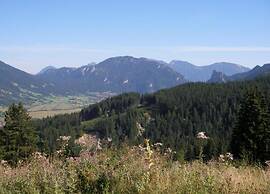 Cozy Alpine Flat in Altenau