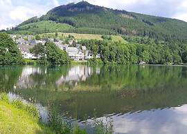 Apartment Near ski Resort in Olsberg