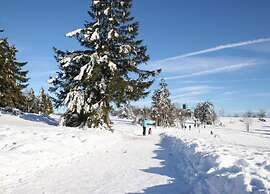 Apartment Near ski Resort in Olsberg