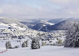 Apartment Near ski Resort in Olsberg