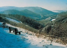 Apartment Near ski Resort in Olsberg