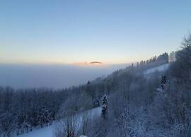 Apartment Near ski Resort in Olsberg
