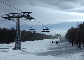 Apartment Near ski Resort in Olsberg