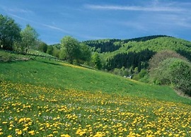 Apartment Near ski Resort in Olsberg