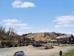 Snug Apartment in St. Andreasberg in Harz