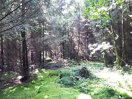 Beautiful Holdiday Home in Ulmen Near the Lake