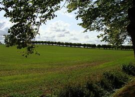 Gemuetliche Wohnung in Kluetz mit Garten