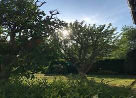 Holiday House Direct on Forest Edge for you Alone