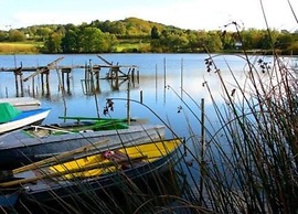 Holiday House Direct on Forest Edge for you Alone