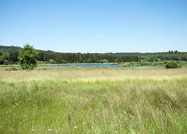 Holiday House Direct on Forest Edge for you Alone