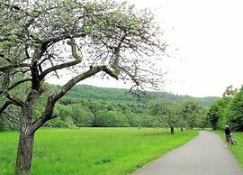 Holiday House Direct on Forest Edge for you Alone