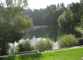 Holiday House Direct on Forest Edge for you Alone