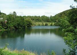 Holiday House Direct on Forest Edge for you Alone