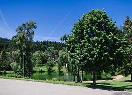 Pleasing Apartment in Herrischried near Forest