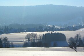 Pleasing Apartment in Herrischried near Forest