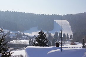 Pleasing Apartment in Herrischried near Forest