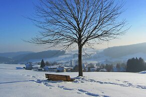 Pleasing Apartment in Herrischried near Forest
