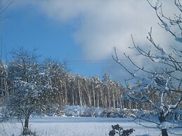 Holiday Home in Fays With Sauna