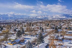 Colorado Springs Uccs Grey Cottagedog Friendly!