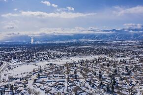 Colorado Springs Uccs Grey Cottagedog Friendly!