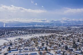 Colorado Springs Uccs Grey Cottagedog Friendly!