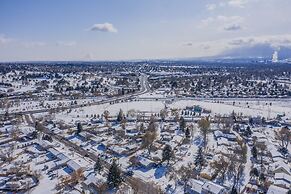 Colorado Springs Uccs Grey Cottagedog Friendly!