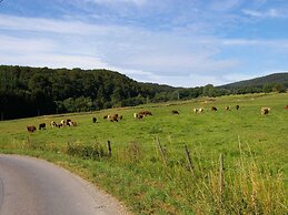 Lovely Holiday Home in Stipshausen With Terrace
