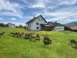 Apartment in Bavaria Near Forest