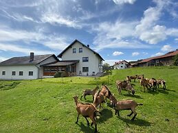 Apartment in Bavaria Near Forest