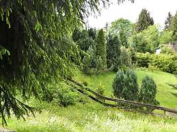 Comely Holiday Home in Güntersberge near Forest