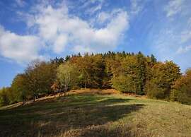 Comely Holiday Home in Güntersberge near Forest