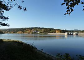Charming Forest Escape for Two