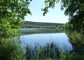 Charming Forest Escape for Two