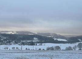Charming Forest Escape for Two