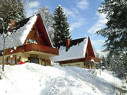 Small Pet-friendly Holiday Park With Nassfeld Card in High Season