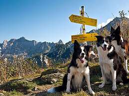 Small Pet-friendly Holiday Park With Nassfeld Card in High Season