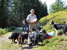 Small Pet-friendly Holiday Park With Nassfeld Card in High Season