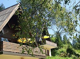 Small Pet-friendly Holiday Park With Nassfeld Card in High Season
