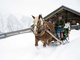 Small Pet-friendly Holiday Park With Nassfeld Card in High Season