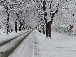 A Villa Between the Town Centre and the Forest