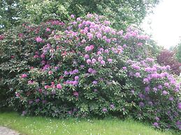 A Villa Between the Town Centre and the Forest