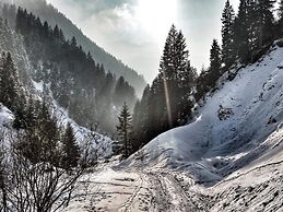 Apartment in Gaschurn Near the ski Area